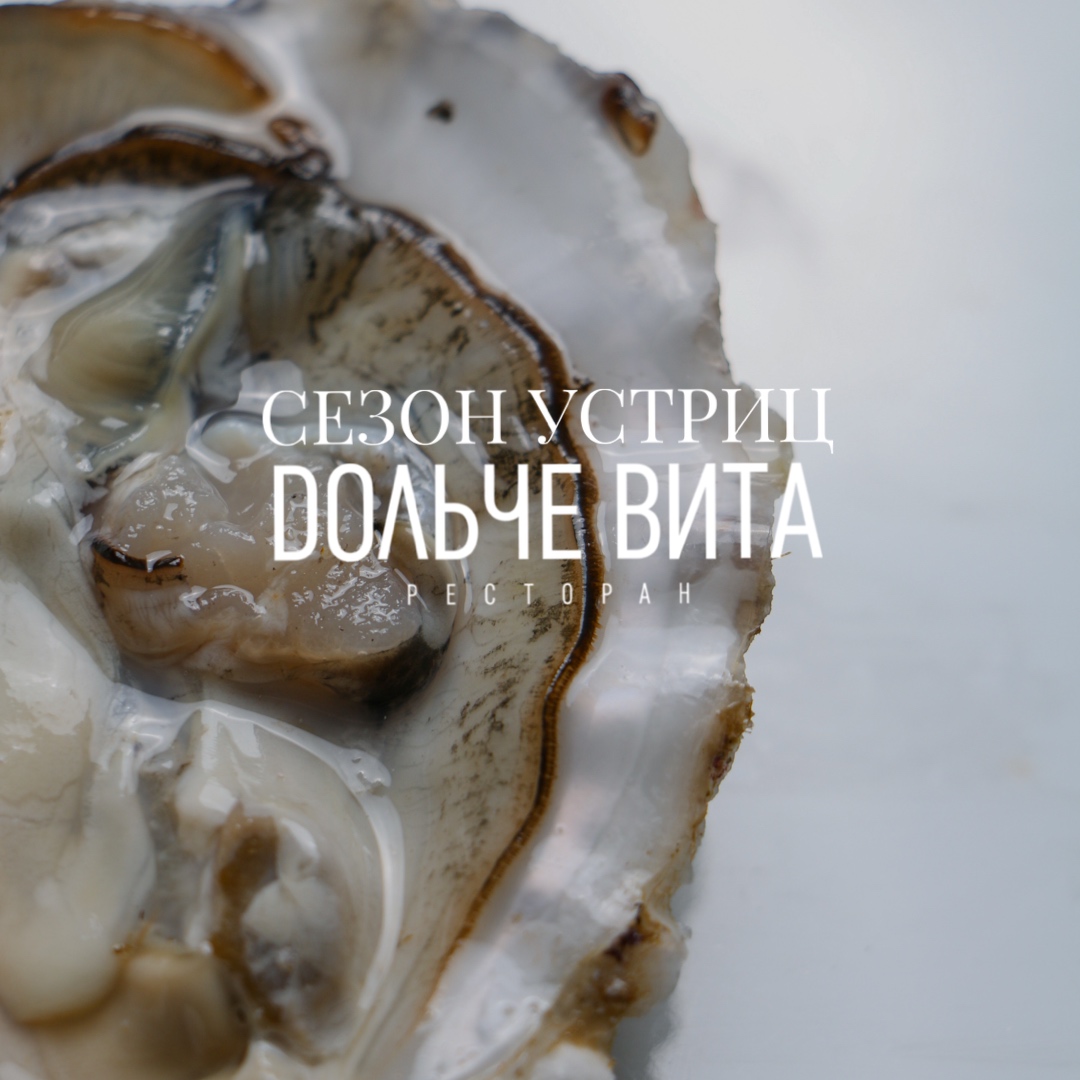 сезон_устриц_в_дольче_вита